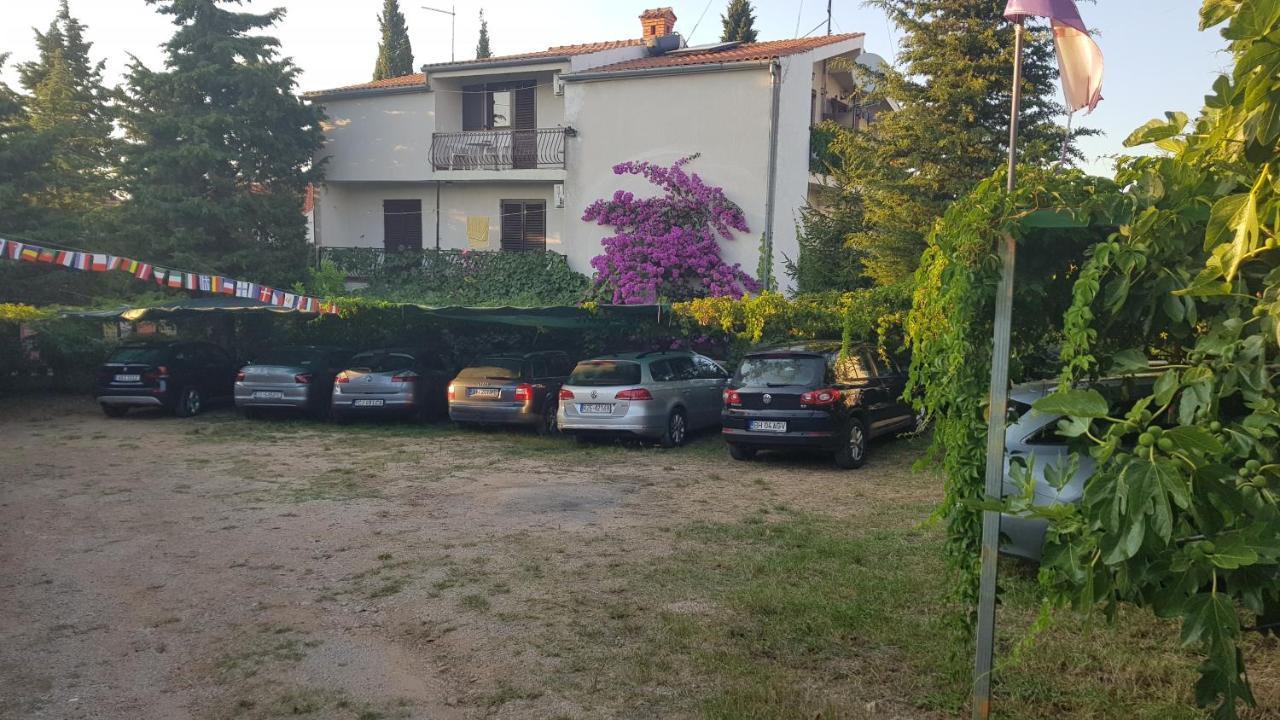Villa Ivanka Murter ap. C Exteriör bild